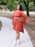 Casual Dress Ruffle Detail Dress With Pockets